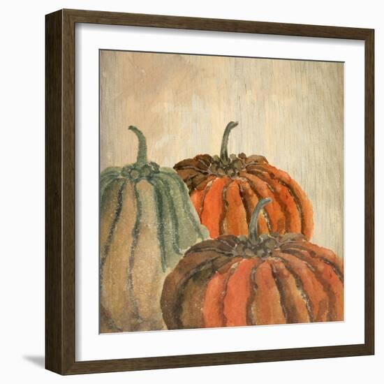 Fall Pumpkins-Kimberly Allen-Framed Art Print