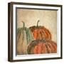 Fall Pumpkins-Kimberly Allen-Framed Art Print