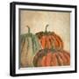 Fall Pumpkins-Kimberly Allen-Framed Art Print