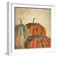 Fall Pumpkins-Kimberly Allen-Framed Art Print