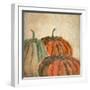 Fall Pumpkins-Kimberly Allen-Framed Art Print