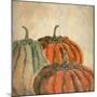 Fall Pumpkins-Kimberly Allen-Mounted Art Print