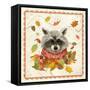 Fall Raccoon-Fiona Stokes-Gilbert-Framed Stretched Canvas