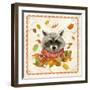 Fall Raccoon-Fiona Stokes-Gilbert-Framed Giclee Print