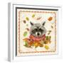 Fall Raccoon-Fiona Stokes-Gilbert-Framed Giclee Print