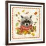 Fall Raccoon-Fiona Stokes-Gilbert-Framed Giclee Print