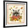 Fall Raccoon-Fiona Stokes-Gilbert-Framed Giclee Print