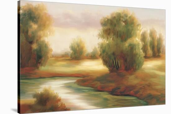 Fall Radiance-Marc Lucien-Stretched Canvas