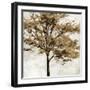 Fall Reflect-Tania Bello-Framed Giclee Print