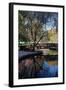 Fall Reflection-Tammy Putman-Framed Photographic Print