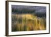 Fall Reflections in a Marsh, Acadia National Park, Maine, USA-Joanne Wells-Framed Photographic Print