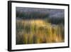 Fall Reflections in a Marsh, Acadia National Park, Maine, USA-Joanne Wells-Framed Photographic Print