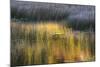 Fall Reflections in a Marsh, Acadia National Park, Maine, USA-Joanne Wells-Mounted Photographic Print