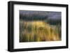 Fall Reflections in a Marsh, Acadia National Park, Maine, USA-Joanne Wells-Framed Photographic Print