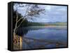 Fall Reflections in Chocorua Lake, White Mountains, New Hampshire, USA-Jerry & Marcy Monkman-Framed Stretched Canvas