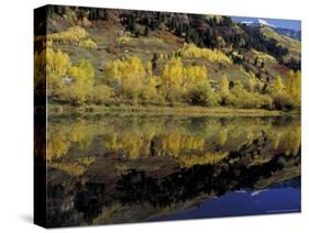 Fall Reflections in Pond, Telluride, Colorado, USA-Cindy Miller Hopkins-Stretched Canvas