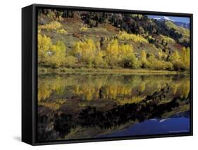 Fall Reflections in Pond, Telluride, Colorado, USA-Cindy Miller Hopkins-Framed Stretched Canvas