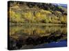 Fall Reflections in Pond, Telluride, Colorado, USA-Cindy Miller Hopkins-Stretched Canvas