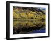 Fall Reflections in Pond, Telluride, Colorado, USA-Cindy Miller Hopkins-Framed Photographic Print