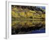 Fall Reflections in Pond, Telluride, Colorado, USA-Cindy Miller Hopkins-Framed Photographic Print