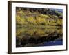 Fall Reflections in Pond, Telluride, Colorado, USA-Cindy Miller Hopkins-Framed Photographic Print