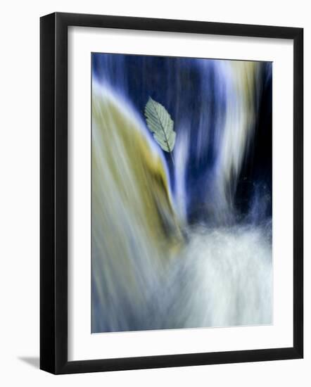 Fall Reflections in Water, Adirondacks, New York, USA-Nancy Rotenberg-Framed Photographic Print