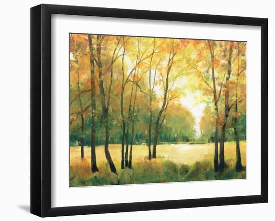 Fall Retreat II-Tim OToole-Framed Art Print