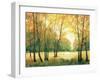 Fall Retreat II-Tim OToole-Framed Art Print