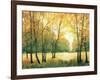 Fall Retreat II-Tim OToole-Framed Art Print