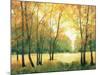 Fall Retreat II-Tim OToole-Mounted Art Print