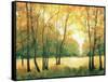 Fall Retreat II-Tim OToole-Framed Stretched Canvas