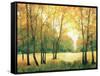 Fall Retreat II-Tim OToole-Framed Stretched Canvas