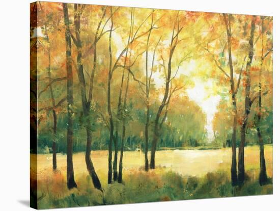 Fall Retreat II-Tim OToole-Stretched Canvas