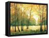 Fall Retreat II-Tim OToole-Framed Stretched Canvas