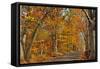 Fall Scenic Byway in Bucks County, Pennsylvania-AardLumens-Framed Stretched Canvas