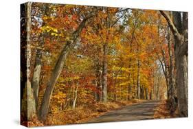 Fall Scenic Byway in Bucks County, Pennsylvania-AardLumens-Stretched Canvas