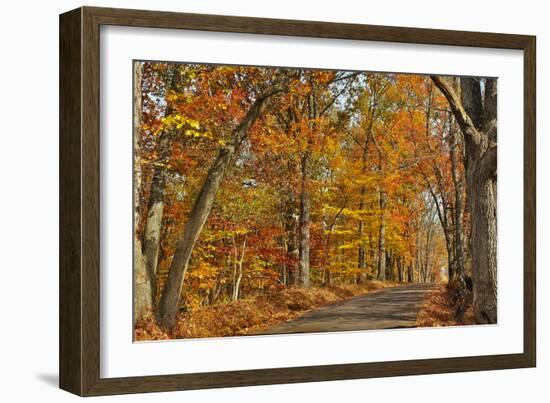 Fall Scenic Byway in Bucks County, Pennsylvania-AardLumens-Framed Photographic Print