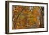 Fall Scenic Byway in Bucks County, Pennsylvania-AardLumens-Framed Photographic Print