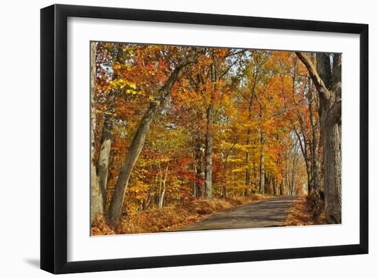 Fall Scenic Byway in Bucks County, Pennsylvania-AardLumens-Framed Photographic Print