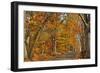 Fall Scenic Byway in Bucks County, Pennsylvania-AardLumens-Framed Photographic Print