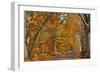 Fall Scenic Byway in Bucks County, Pennsylvania-AardLumens-Framed Photographic Print