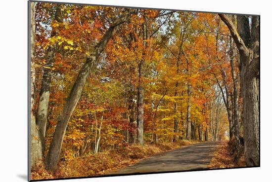 Fall Scenic Byway in Bucks County, Pennsylvania-AardLumens-Mounted Photographic Print