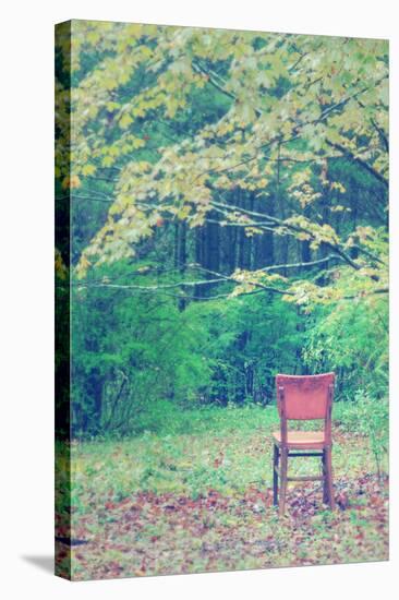 Fall Seat, Catskill Mountains, New York-Vincent James-Stretched Canvas