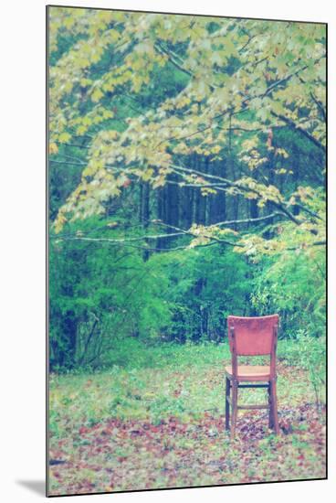 Fall Seat, Catskill Mountains, New York-Vincent James-Mounted Photographic Print