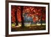 Fall Secret-Philippe Sainte-Laudy-Framed Photographic Print