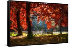 Fall Secret-Philippe Sainte-Laudy-Framed Stretched Canvas