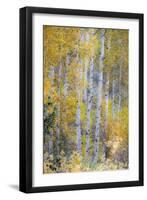 Fall Snowstorm, Aspen Trees, Grand Teton National Park-Howie Garber-Framed Premium Photographic Print