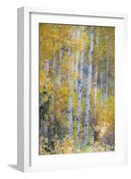 Fall Snowstorm, Aspen Trees, Grand Teton National Park-Howie Garber-Framed Photographic Print