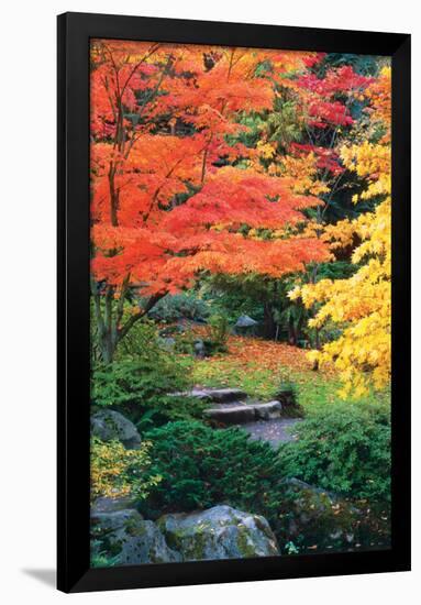 Fall Solitude-null-Framed Poster