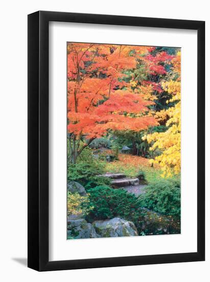 Fall Solitude-null-Framed Art Print